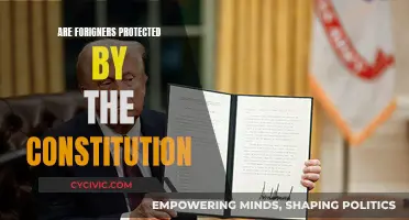 Foreign Nationals: Constitutional Rights and Protections?