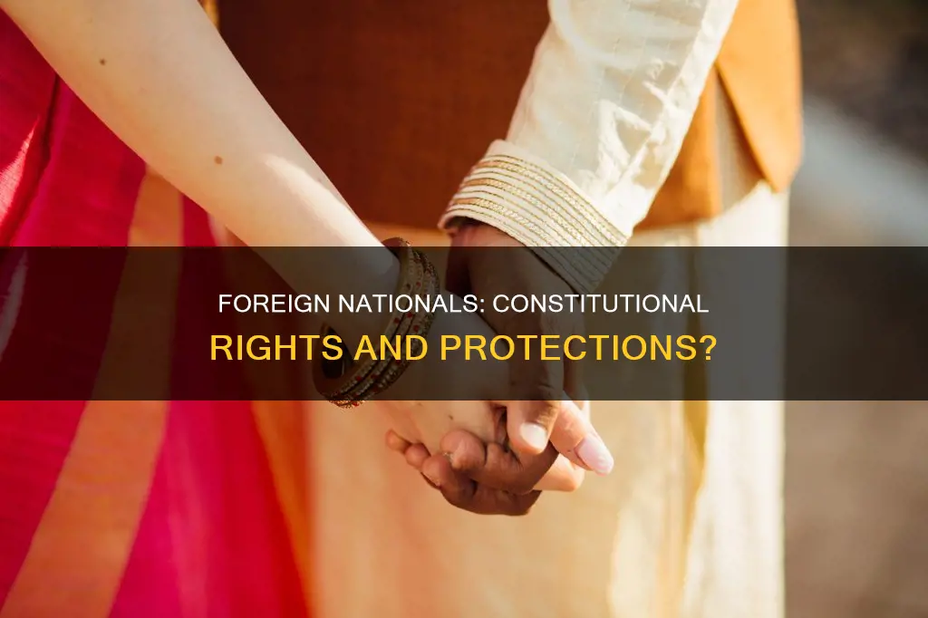 are forigners protected by the constitution