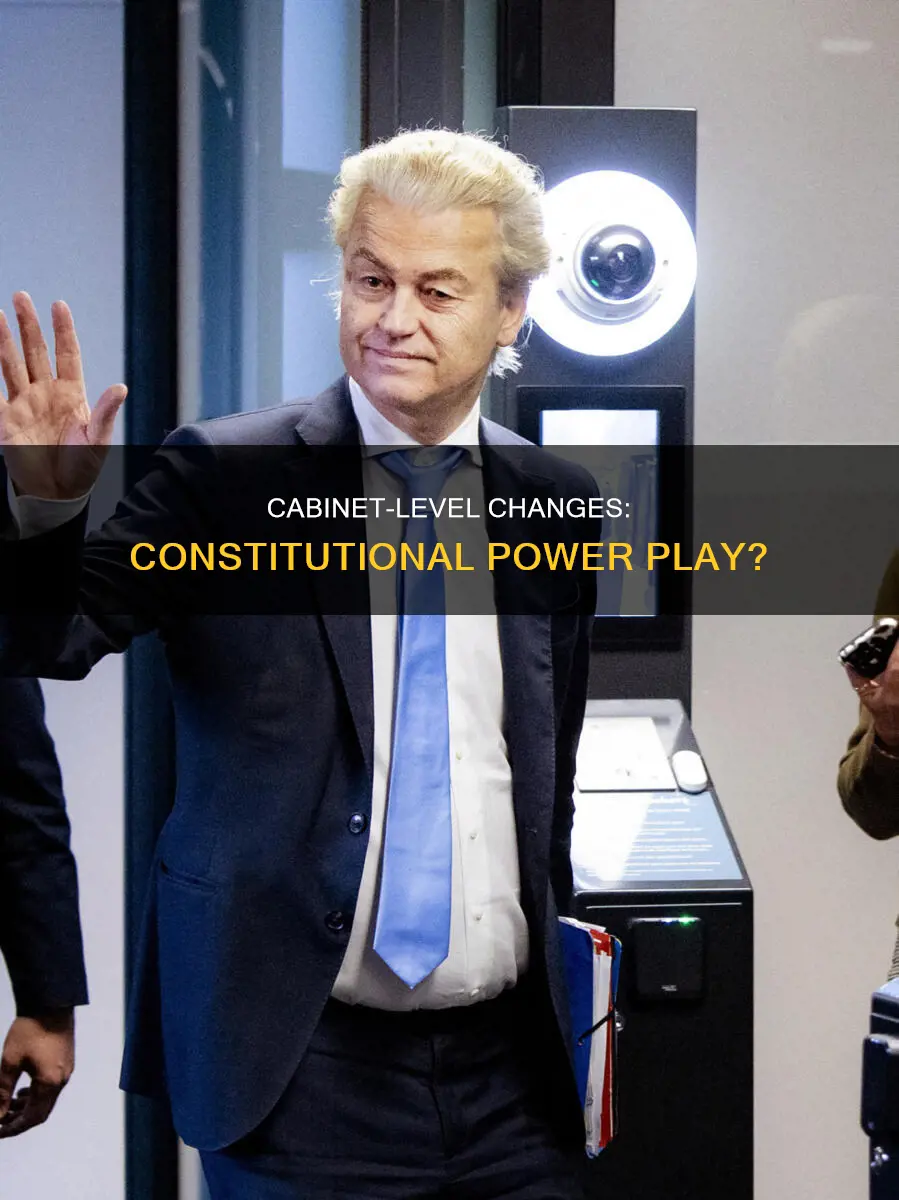 are forming new cabinet levels a constitutional power