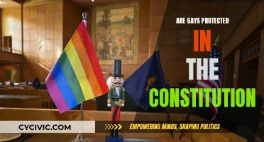 Constitution's Protection of Gays: What's the Verdict?