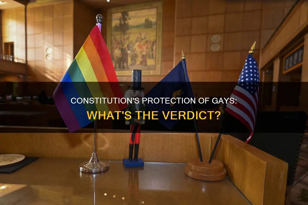 are gays protected in the constitution