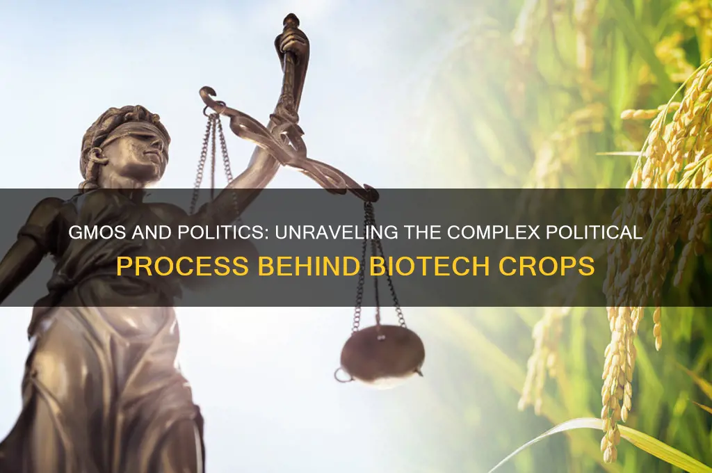 are gmos a political process