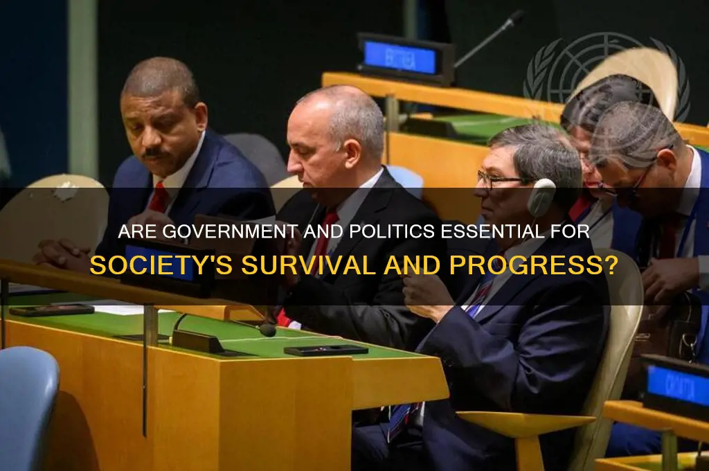 are government and politics necessities