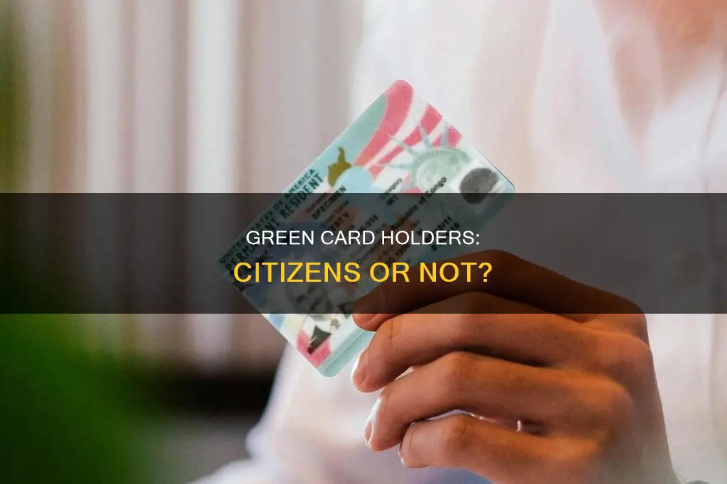 are green card holders considered citizens under the constitution