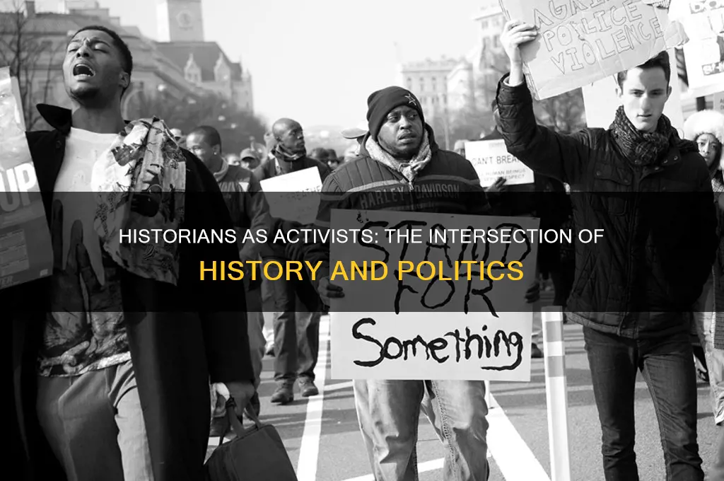 are historians political activists