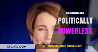 Are Homosexuals Politically Powerless? Exploring LGBTQ+ Representation and Influence