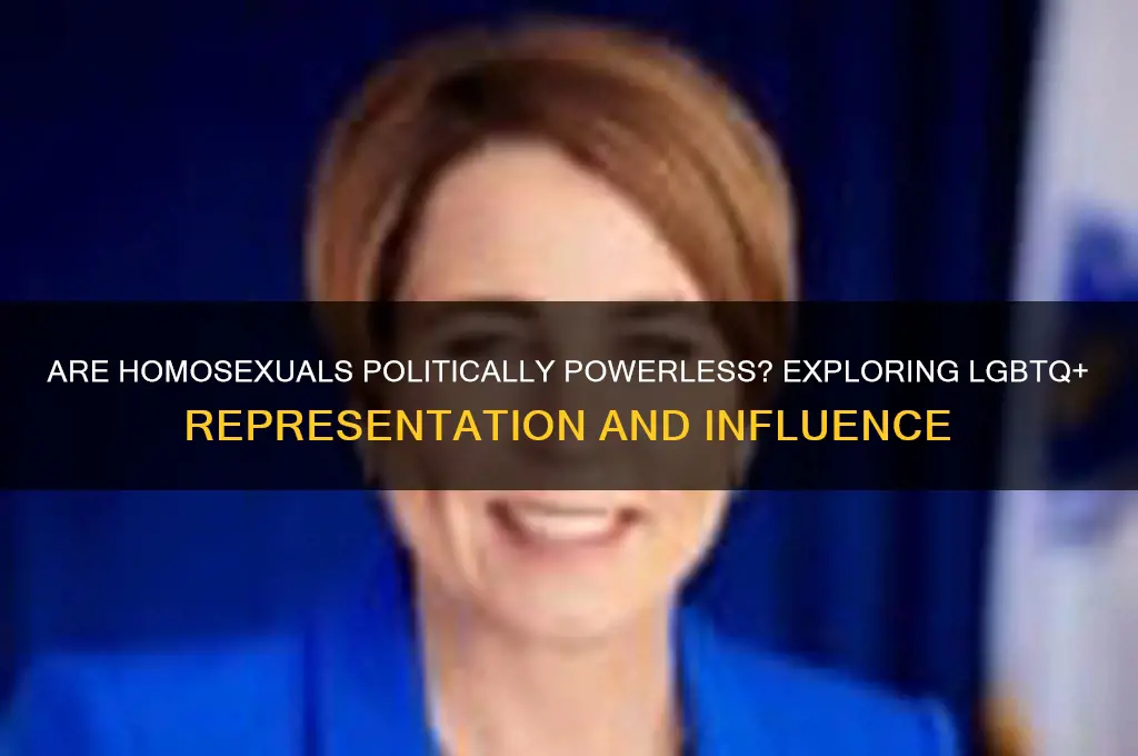 are homosexuals politically powerless