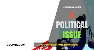 Navigating the Complex Intersection of Human Rights and Politics