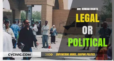 Exploring the Intersection of Human Rights: Legal Frameworks vs. Political Realities