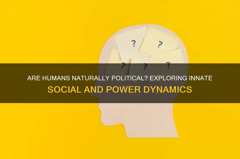are humans political by nature