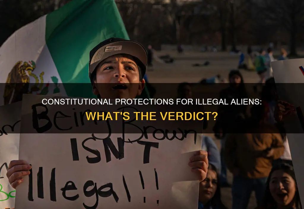 are illegal aliens covered by constitutional protection