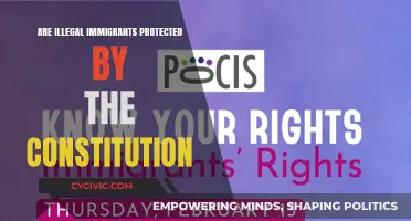 Immigration Status and Constitutional Rights: Who's Protected?