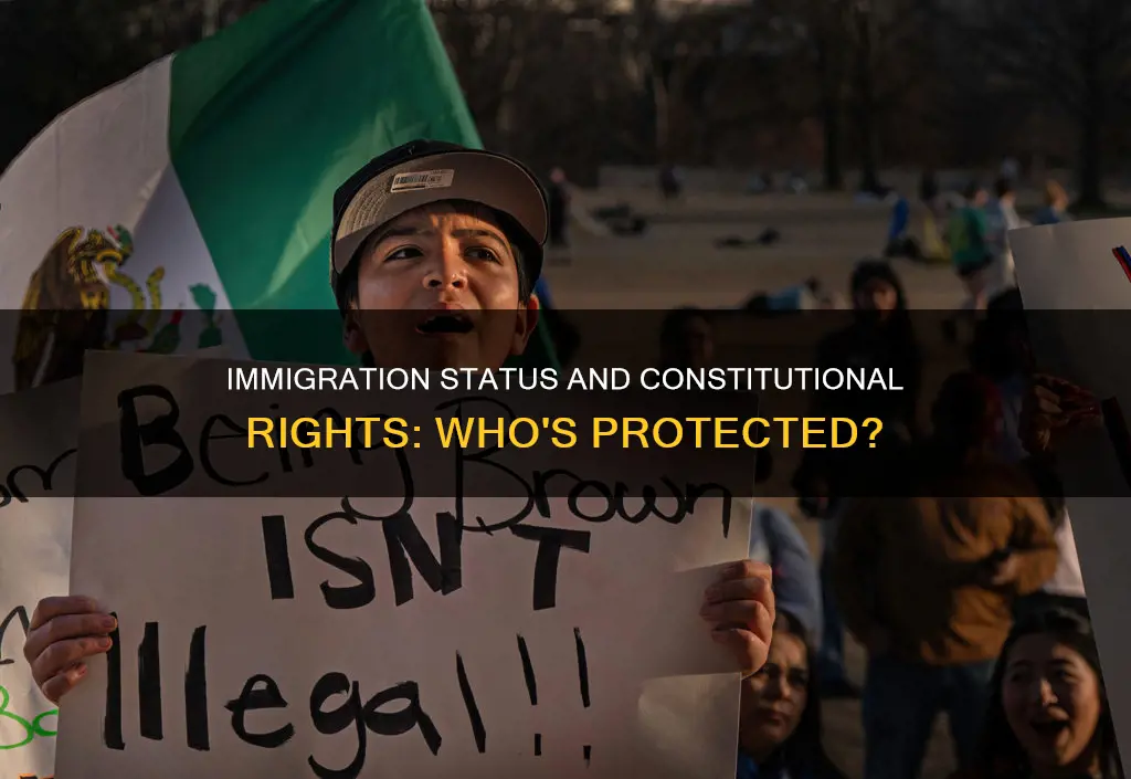 are illegal immigrants protected by the constitution
