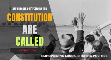 Who Is Protected by the Constitution?