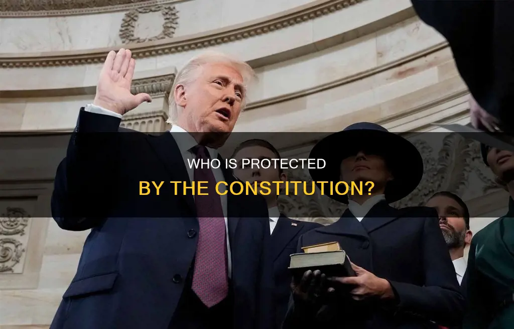 are illegals protected by our constitution are called