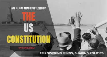 Aliens' Rights: Are They Protected by the US Constitution?