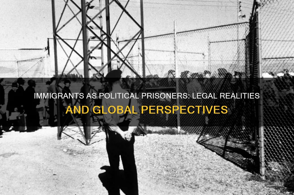 are immigrants considered political prisoners