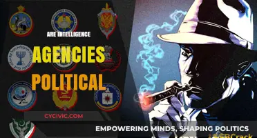 Intelligence Agencies and Politics: Unraveling the Complex Relationship