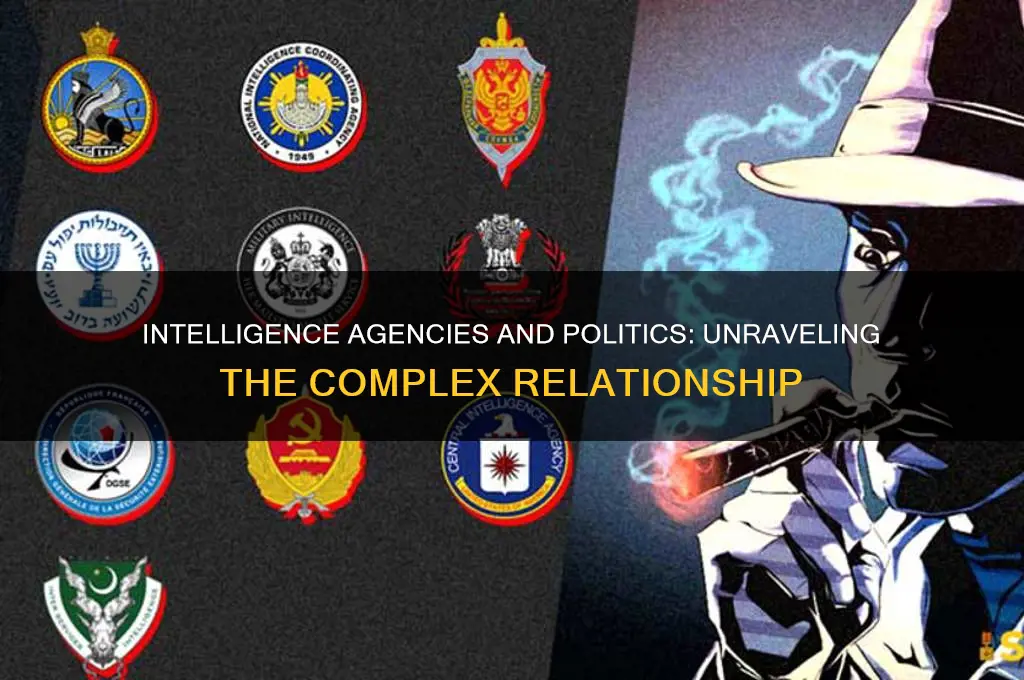 are intelligence agencies political