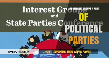 Interest Groups and Political Parties: Allies or Independent Forces?