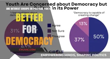 Interest Groups vs. Political Parties: Which Strengthens Democratic Governance?
