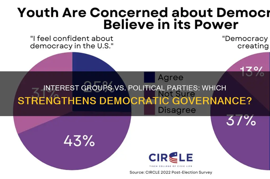 are interest groups or political parties better for democracy