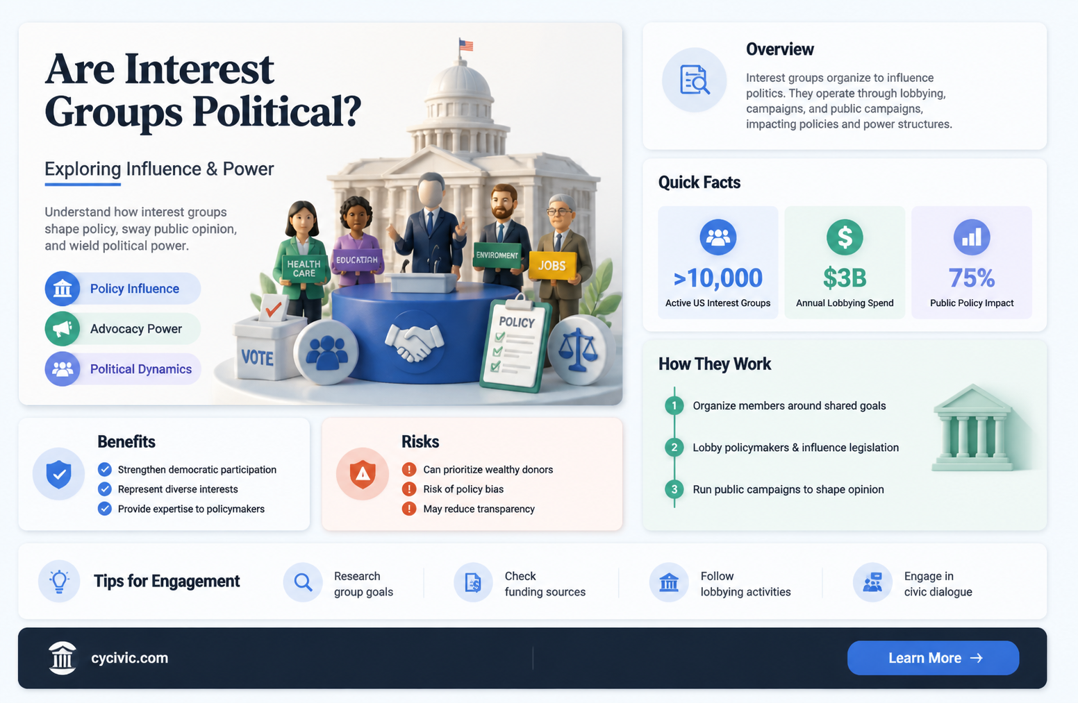 are interest groups political