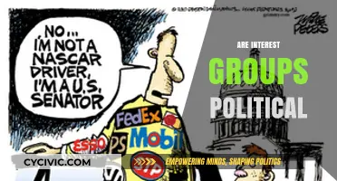Are Interest Groups Political? Exploring Their Influence and Power Dynamics