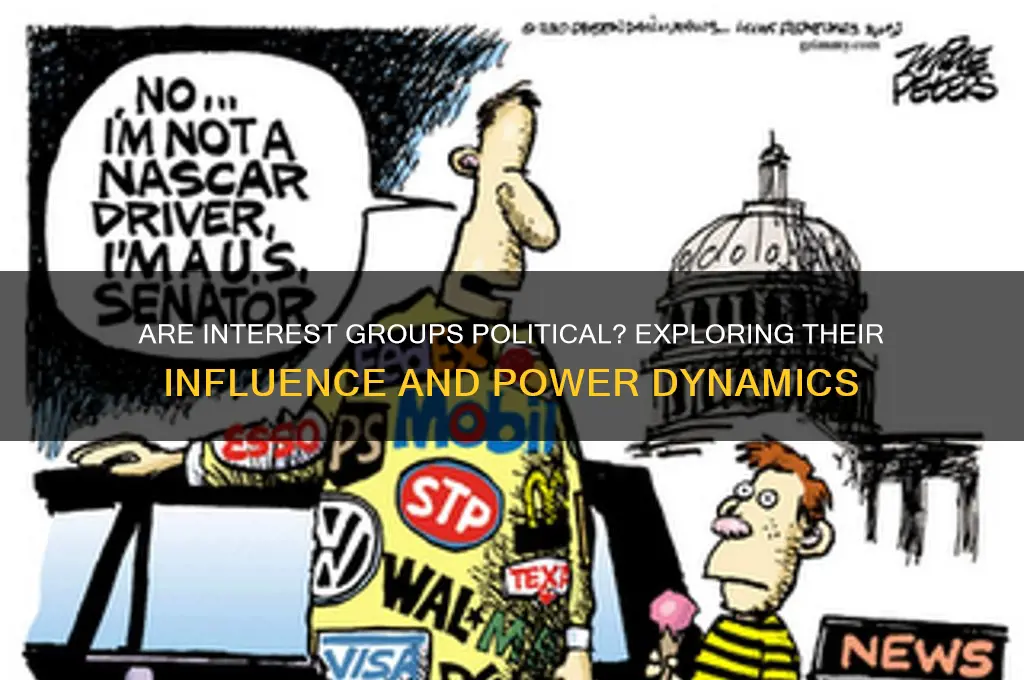 are interest groups political