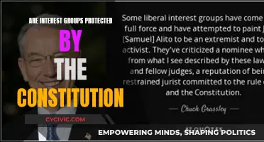 The Constitution's Protection of Interest Groups: Explained