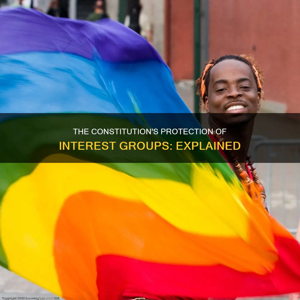 are interest groups protected by the constitution