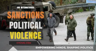 International Sanctions: Political Violence or Diplomatic Tool?