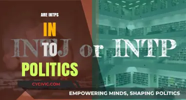 INTPs and Politics: Analyzing Their Interest and Unique Approach