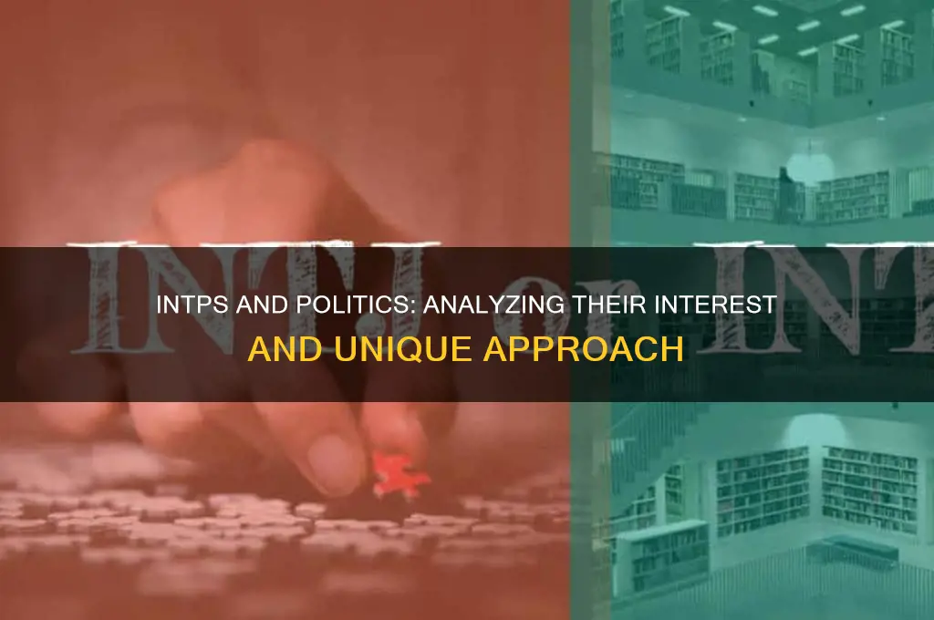 are intps in to politics