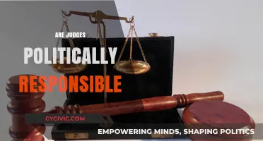 Judicial Accountability: Are Judges Politically Responsible in Modern Democracy?