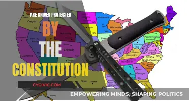 Knives and the Constitution: What's the Verdict?