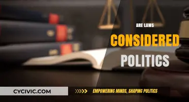 Are Laws Politics? Exploring the Intersection of Legislation and Governance