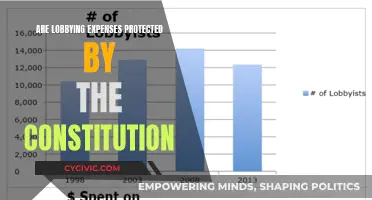 Lobbying Expenses: Are They Protected by the Constitution?