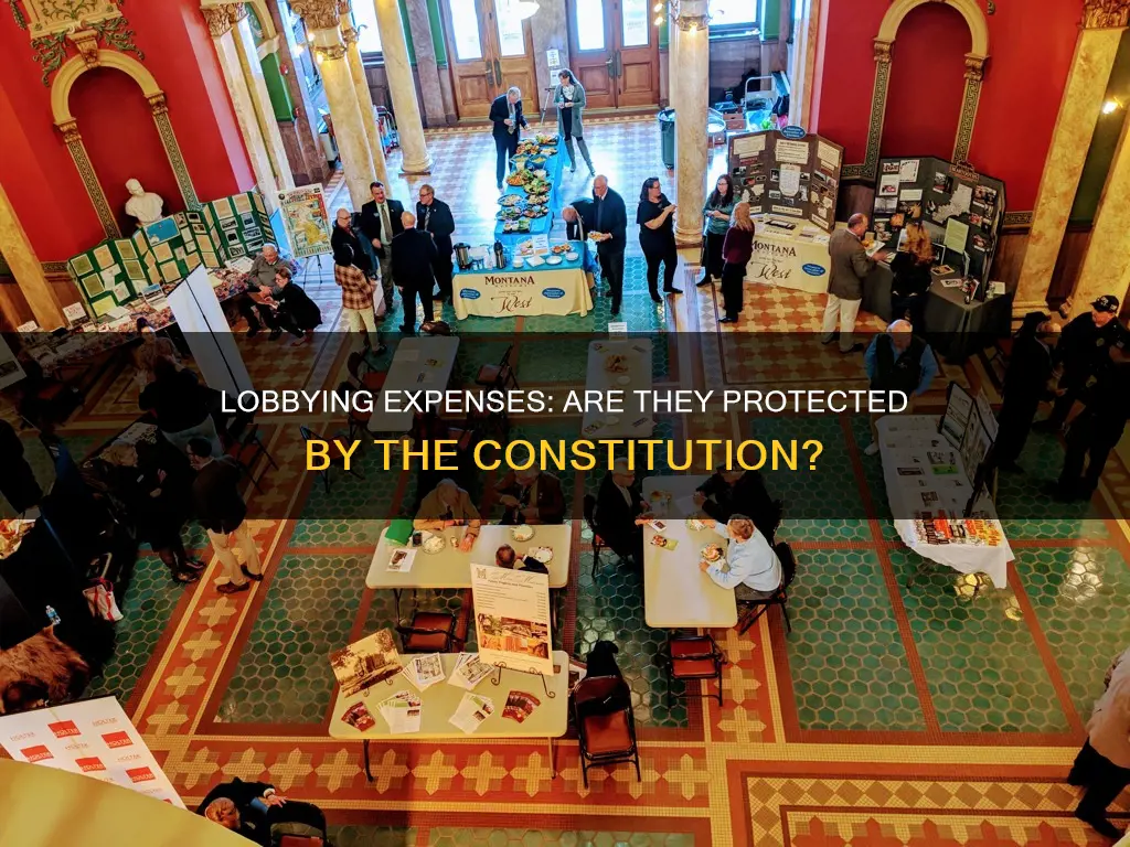 are lobbying expenses protected by the constitution
