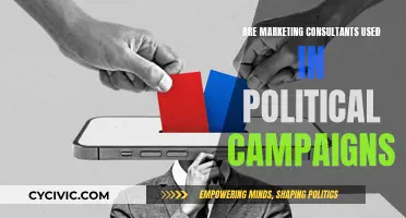 Marketing Consultants: Political Campaign Allies?