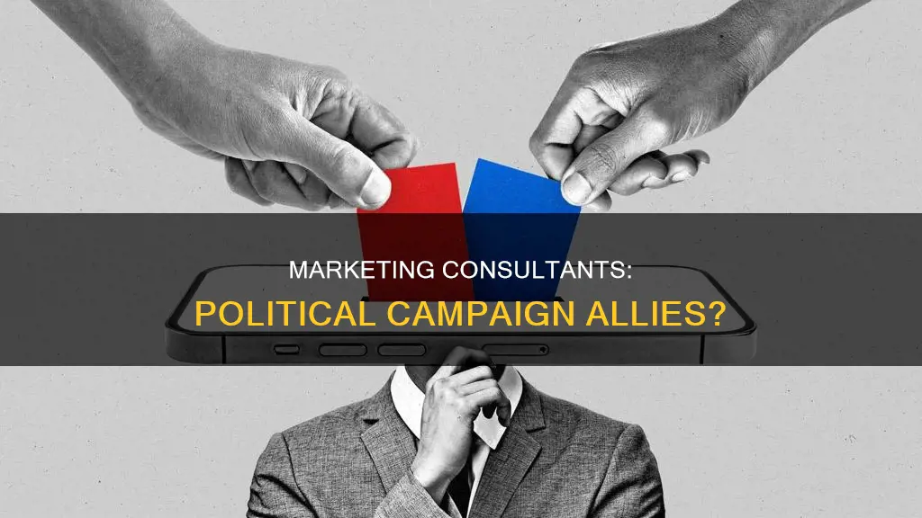 are marketing consultants used in political campaigns