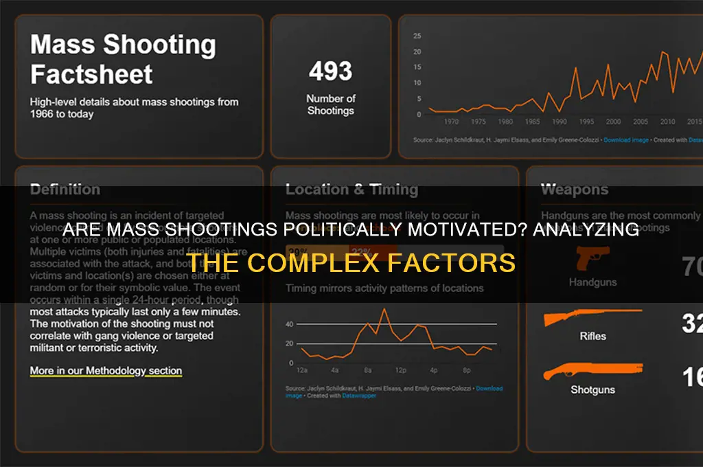 are mass shootings politically motivated