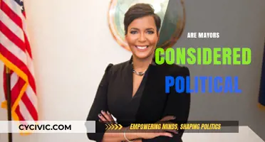 Are Mayors Political Figures? Exploring Their Role in Local Governance