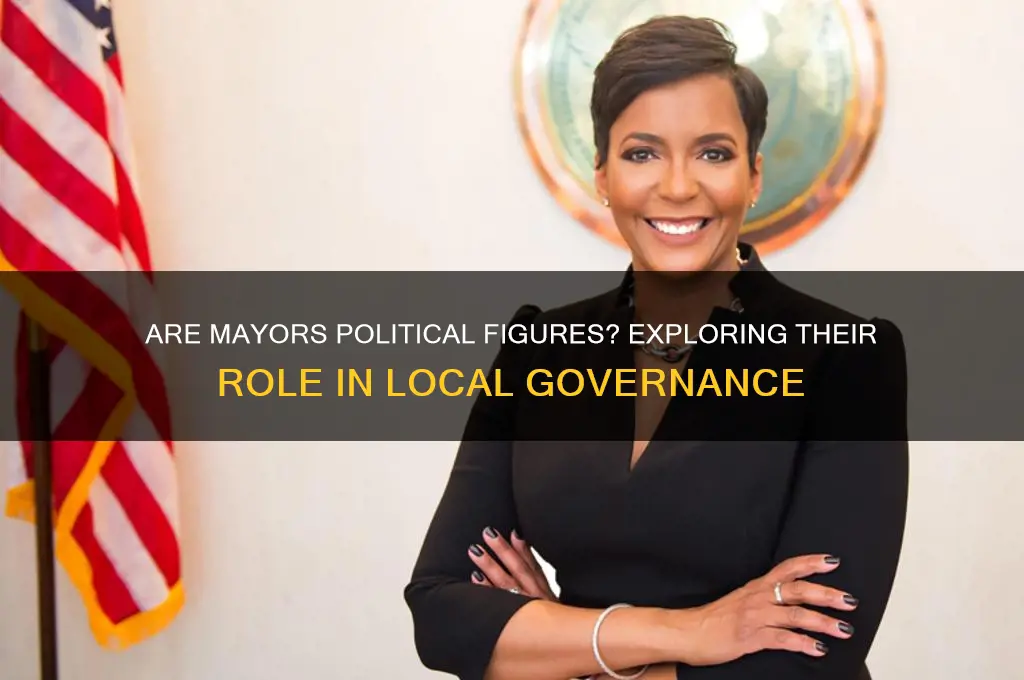 are mayors considered political