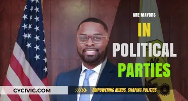 Mayors and Political Parties: Affiliations, Influence, and Local Governance