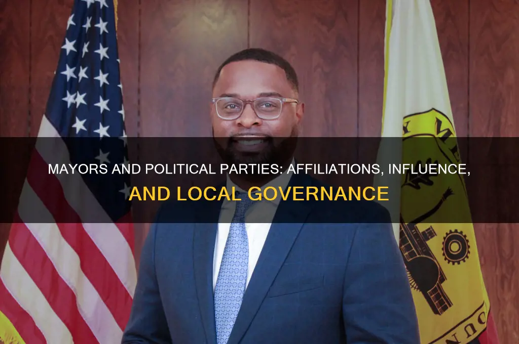are mayors in political parties