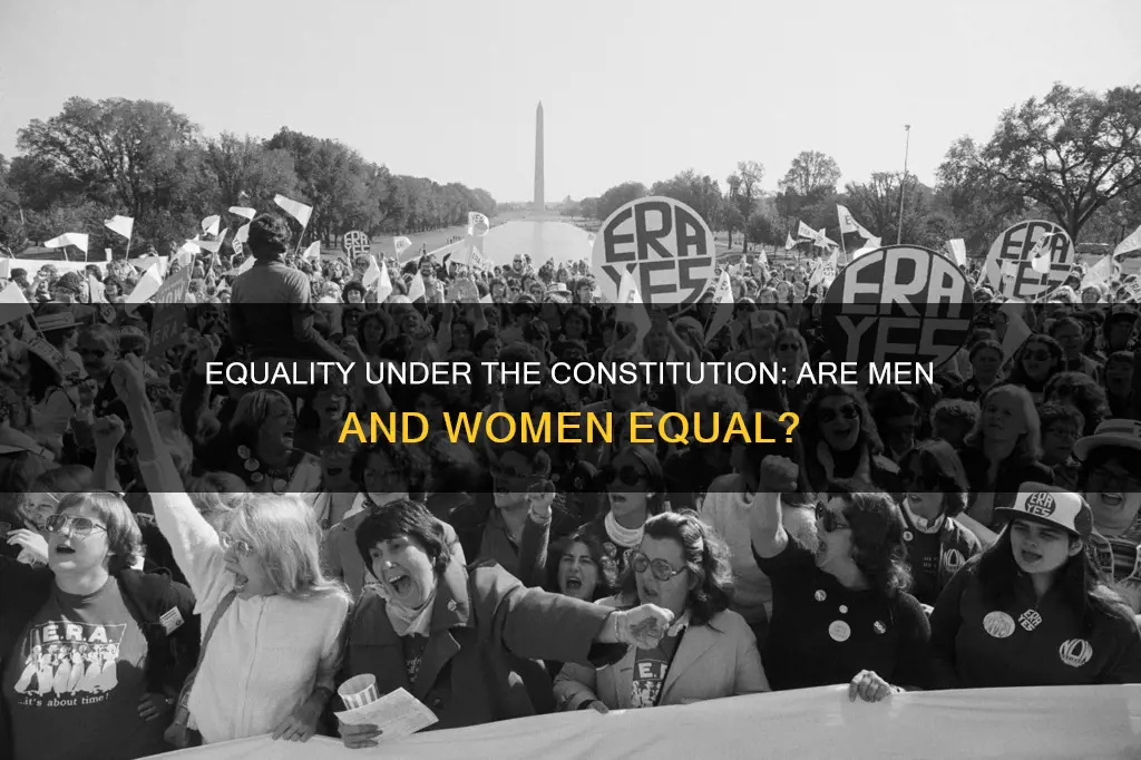 are men and women equal under the constitution