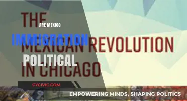 Mexico's Immigration Policies: A Political Battleground or Humanitarian Issue?