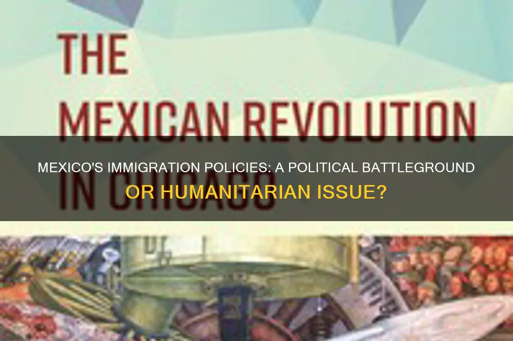 are mexico immigration political