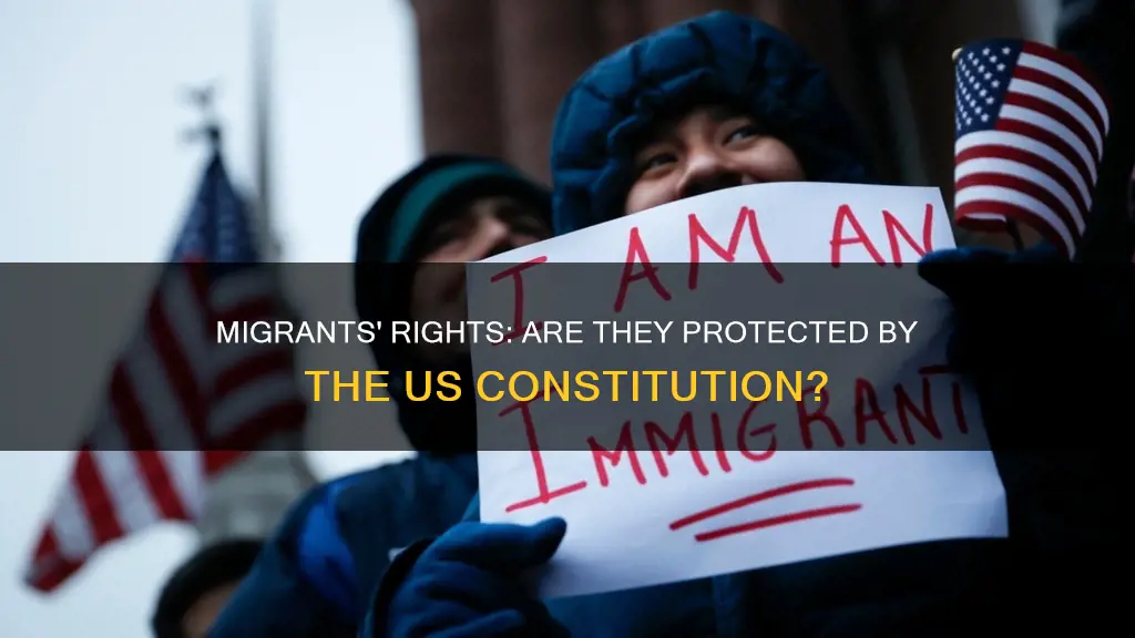 are migrants protected by the us constitution